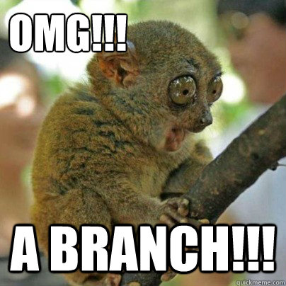 OMG!!! A BRANCH!!!  OMG Bush Baby