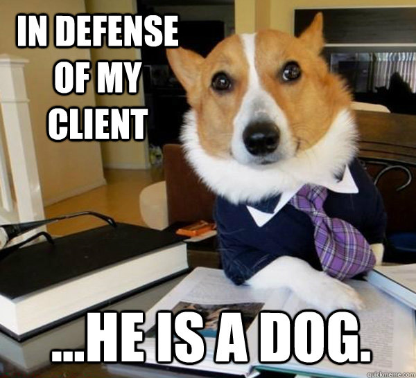 In defense of my client ...he is a dog.  Lawyer Dog