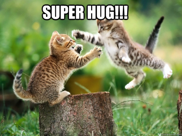 SUPER HUG!!! - SUPER HUG!!!  cute kittens