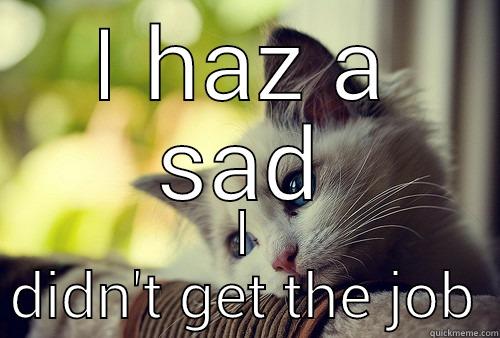 I HAZ A SAD I DIDN'T GET THE JOB First World Problems Cat