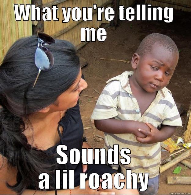 WHAT YOU'RE TELLING ME SOUNDS A LIL ROACHY Skeptical Third World Kid