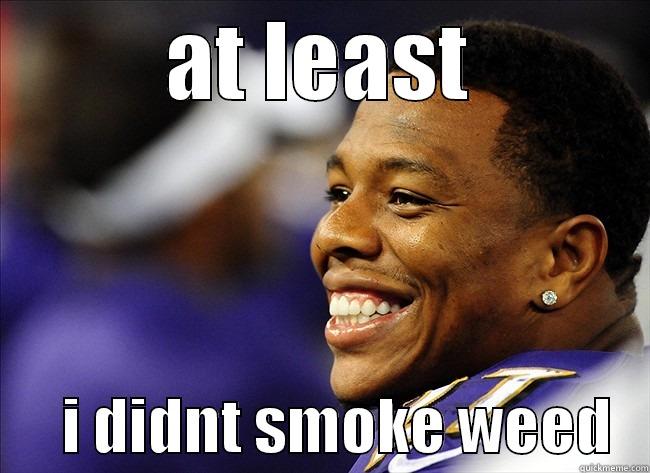 AT LEAST       I DIDNT SMOKE WEED   Misc