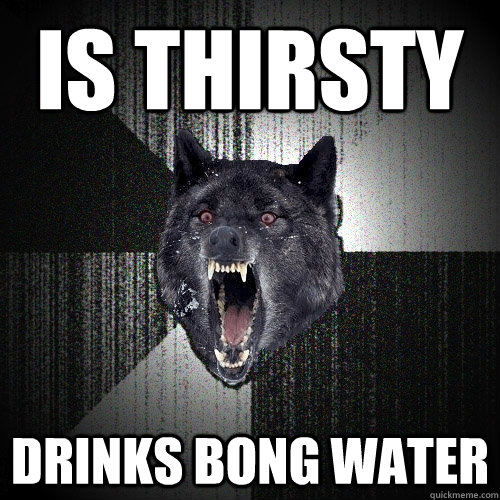 Is thirsty drinks bong water  Insanity Wolf