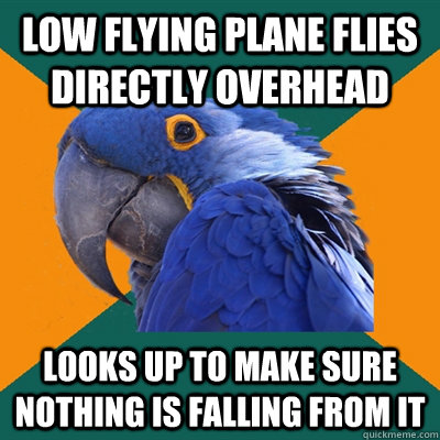 low flying plane flies directly overhead looks up to make sure nothing is falling from it  Paranoid Parrot