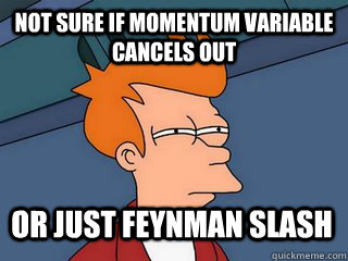 not sure if momentum variable cancels out or just Feynman slash - not sure if momentum variable cancels out or just Feynman slash  Notsureif