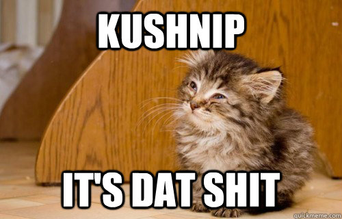 kushnip it's dat shit  