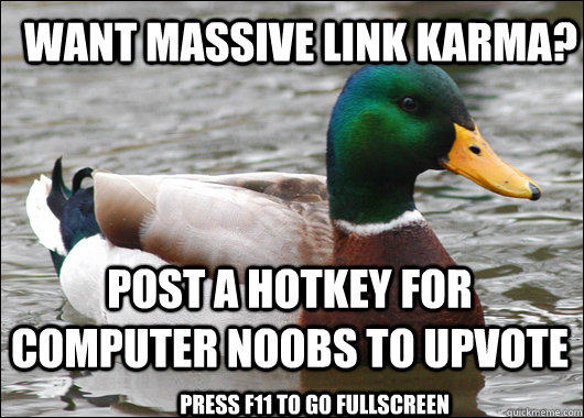 Want MASSIVE link karma? Post a hotkey for computer noobs to upvote press f11 to go fullscreen  Actual Advice Mallard