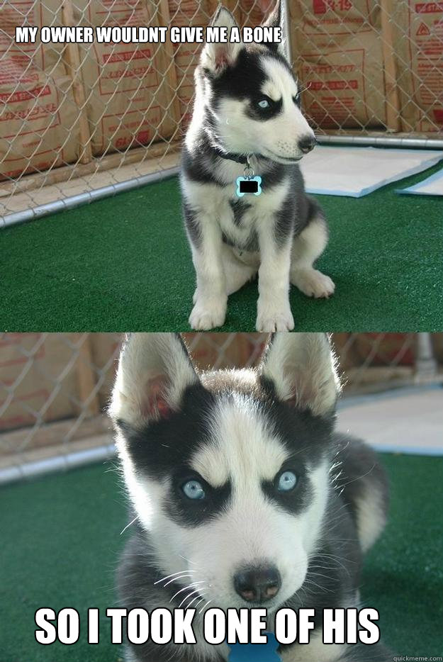 my owner wouldnt give me a bone so i took one of his  Insanity puppy