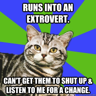Runs into an extrovert. Can't get them to shut up & listen to me for a change.  Introvert Cat