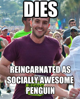 Dies reincarnated as socially awesome penguin  Ridiculously photogenic guy