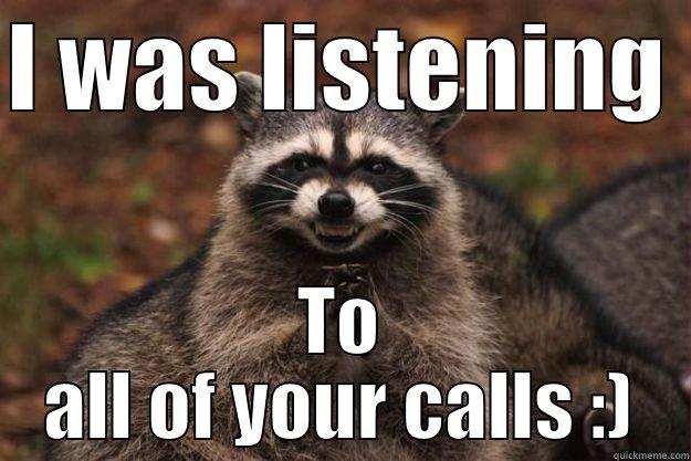 I WAS LISTENING  TO ALL OF YOUR CALLS :) Evil Plotting Raccoon