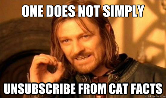 One Does Not Simply Unsubscribe from cat facts - One Does Not Simply Unsubscribe from cat facts  Boromir