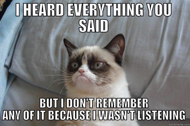 I HEARD EVERYTHING YOU SAID BUT I DON'T REMEMBER ANY OF IT BECAUSE I WASN'T LISTENING Grumpy Cat