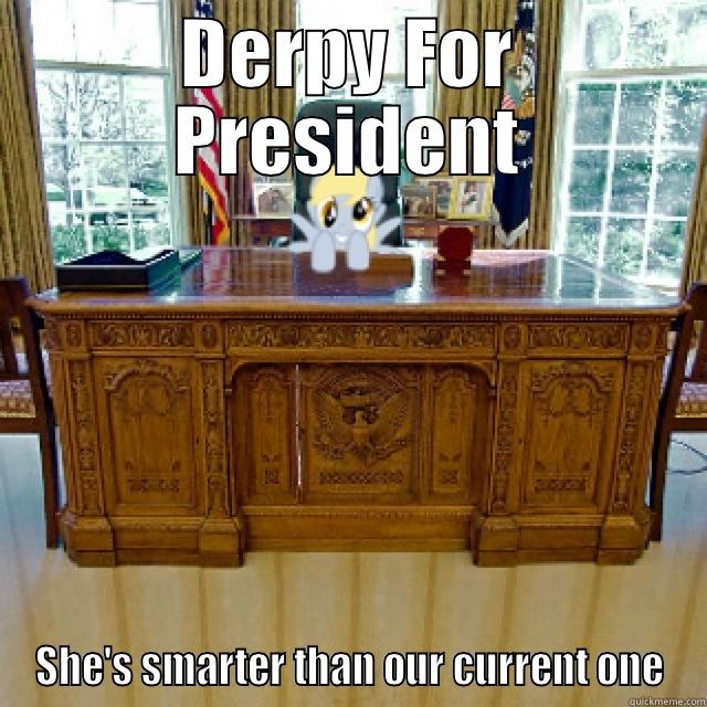 DERPY FOR PRESIDENT SHE'S SMARTER THAN OUR CURRENT ONE Misc