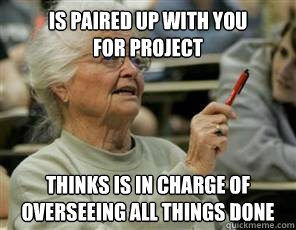 Is paired up with you 
for project Thinks is in charge of overseeing all things done  Senior College Student