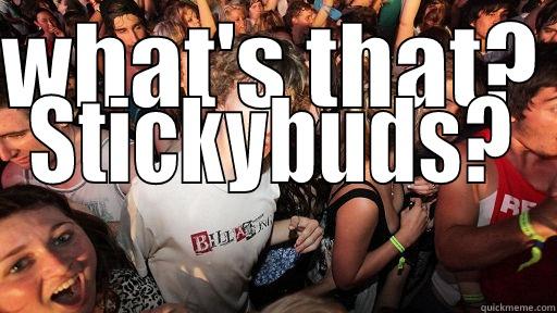 WHAT'S THAT?  STICKYBUDS? Sudden Clarity Clarence