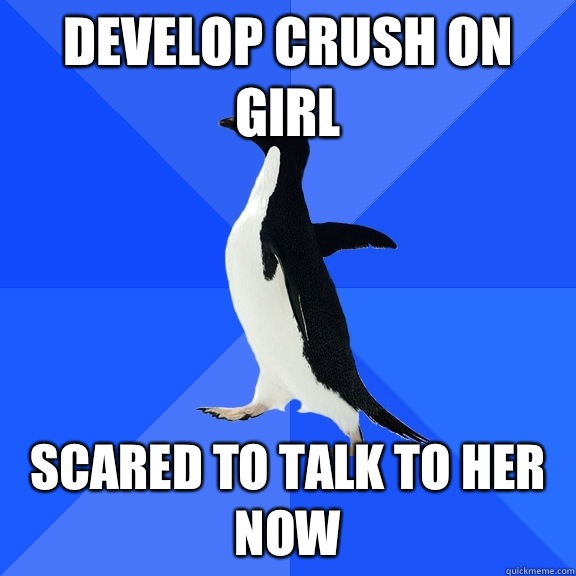 Develop crush on girl Scared to talk to her now  Socially Awkward Penguin