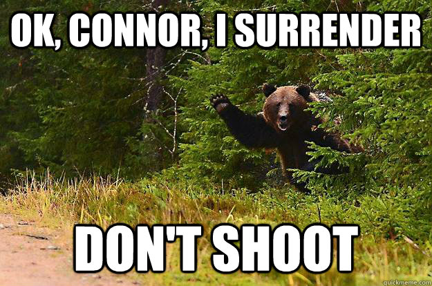 ok, connor, i surrender don't shoot - ok, connor, i surrender don't shoot  Greetings Bear