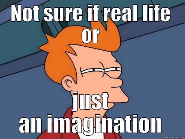NOT SURE IF REAL LIFE OR JUST AN IMAGINATION Futurama Fry