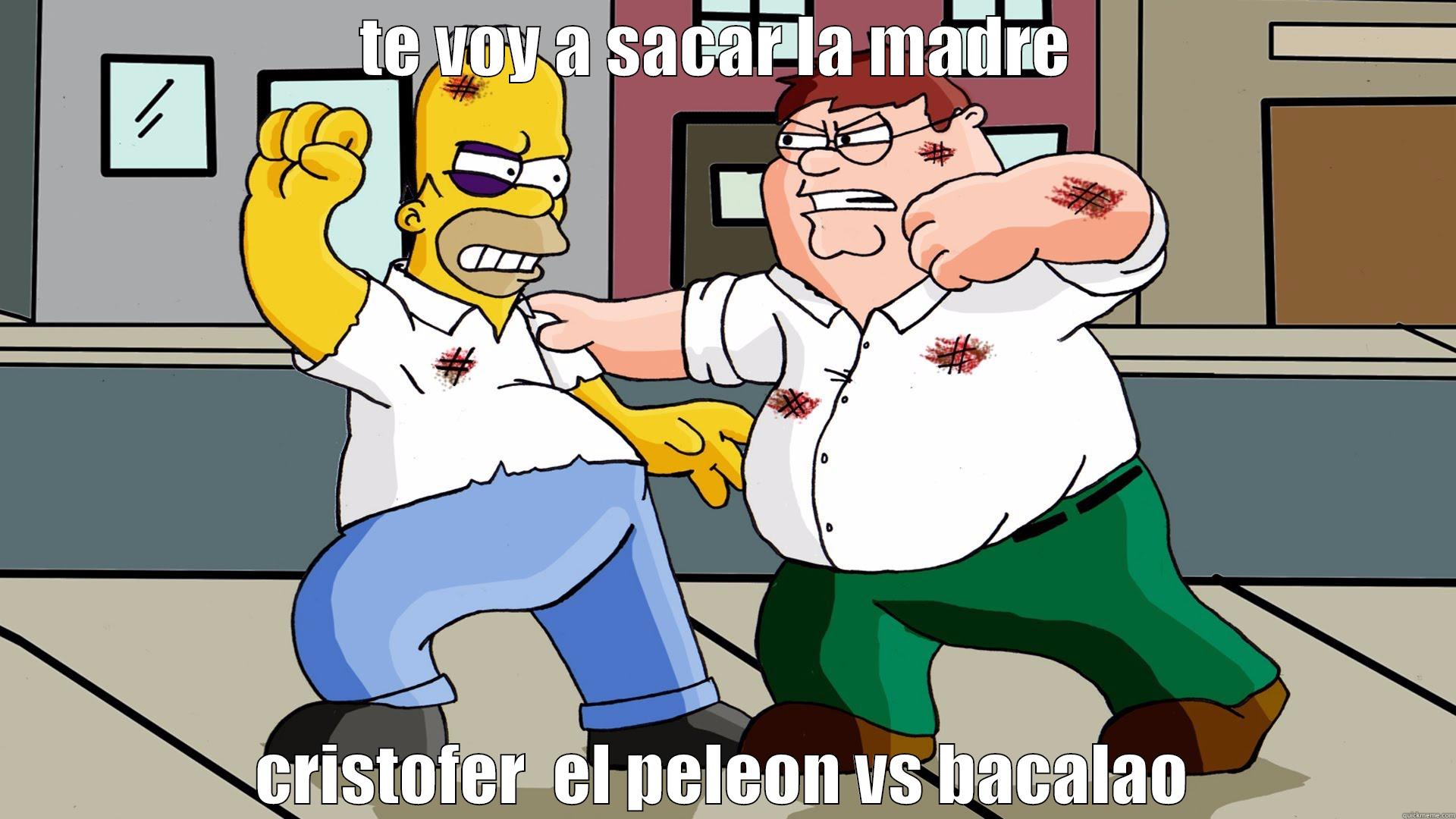 TE VOY A SACAR LA MADRE  CRISTOFER  EL PELEON VS BACALAO Misc