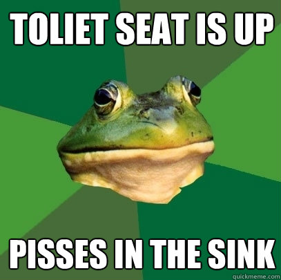 Toliet seat is up Pisses in the sink  Foul Bachelor Frog
