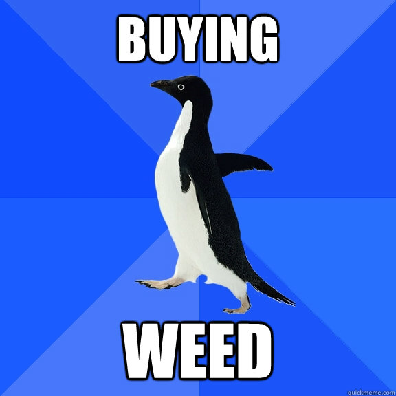 buying weed  Socially Awkward Penguin