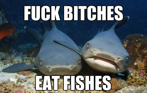 Fuck bitches Eat fishes  Compassionate Shark Friend