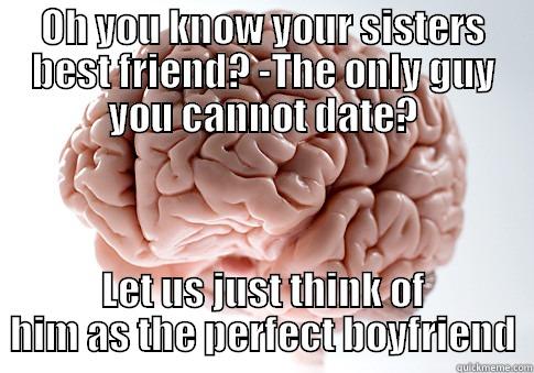 OH YOU KNOW YOUR SISTERS BEST FRIEND? -THE ONLY GUY YOU CANNOT DATE? LET US JUST THINK OF HIM AS THE PERFECT BOYFRIEND Scumbag Brain