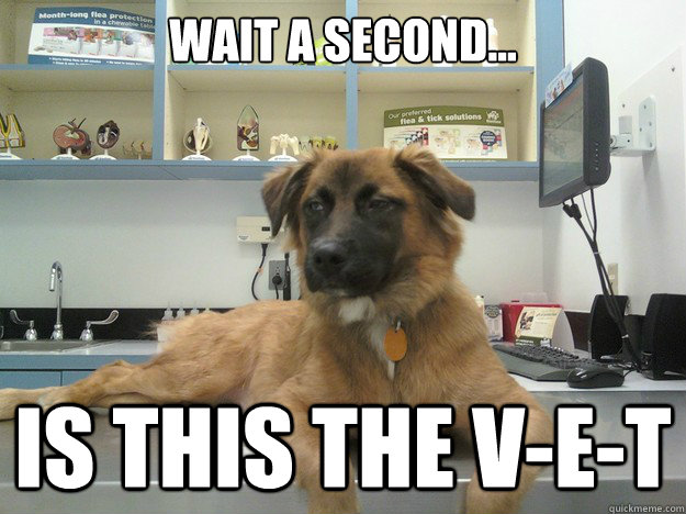 Wait a second... is this the v-e-t  Suspicious Dog