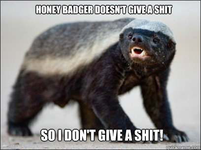 Honey Badger doesn't give a shit So I don't give a shit!  Honey Badger