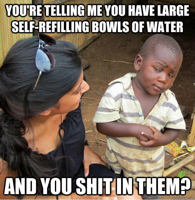 You're telling me you have large self-refilling bowls of water and you shit in them? - You're telling me you have large self-refilling bowls of water and you shit in them?  Skeptical Third World Kid