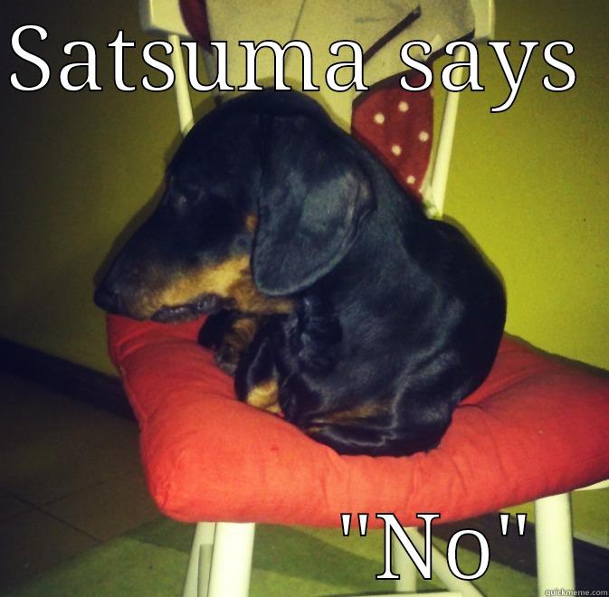 SATSUMA SAYS              