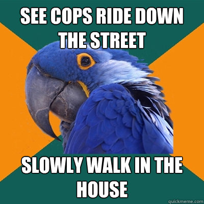 see cops ride down the street slowly walk in the house  Paranoid Parrot