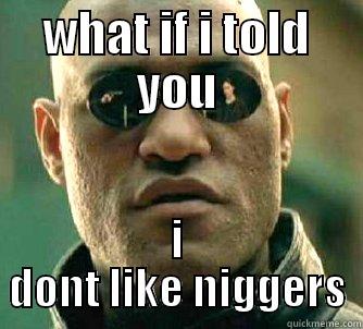 WHAT IF I TOLD YOU I DONT LIKE NIGGERS Matrix Morpheus
