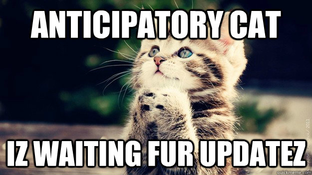 anticipatory cat iz waiting fur updatez - anticipatory cat iz waiting fur updatez  Anticipation cat