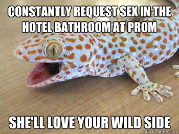 Constantly Request Sex in the hotel bathroom at prom She'll love your wild side  