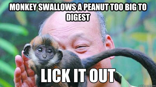 monkey swallows a peanut too big to digest lick it out
 - monkey swallows a peanut too big to digest lick it out
  Good Guy Zookeeper