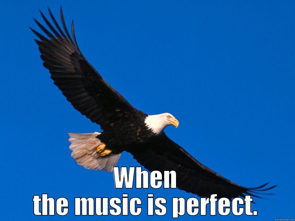  WHEN THE MUSIC IS PERFECT. Misc