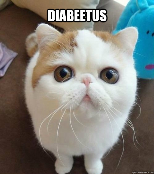 diabeetus - diabeetus  Little Kitten Fixed