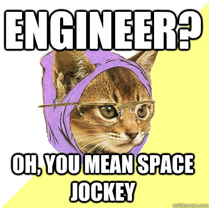 Engineer? Oh, you mean space jockey  Hipster Kitty