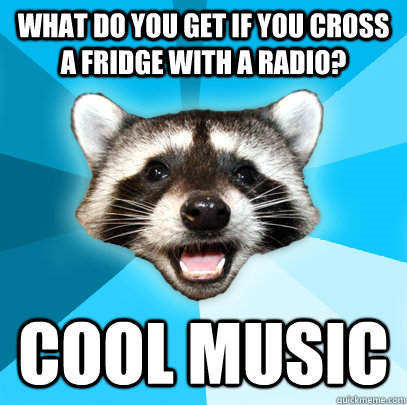 WHAT DO YOU GET IF YOU CROSS A FRIDGE WITH A RADIO? COOL MUSIC  Lame Pun Coon