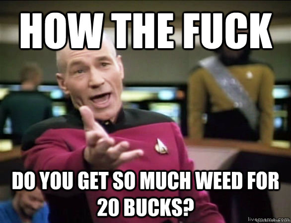 how the fuck Do you get so much weed for 20 bucks?  Annoyed Picard HD