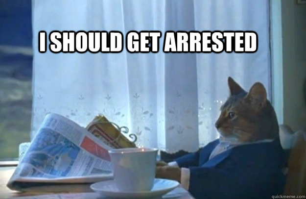 I should get arrested  Sophisticated Cat