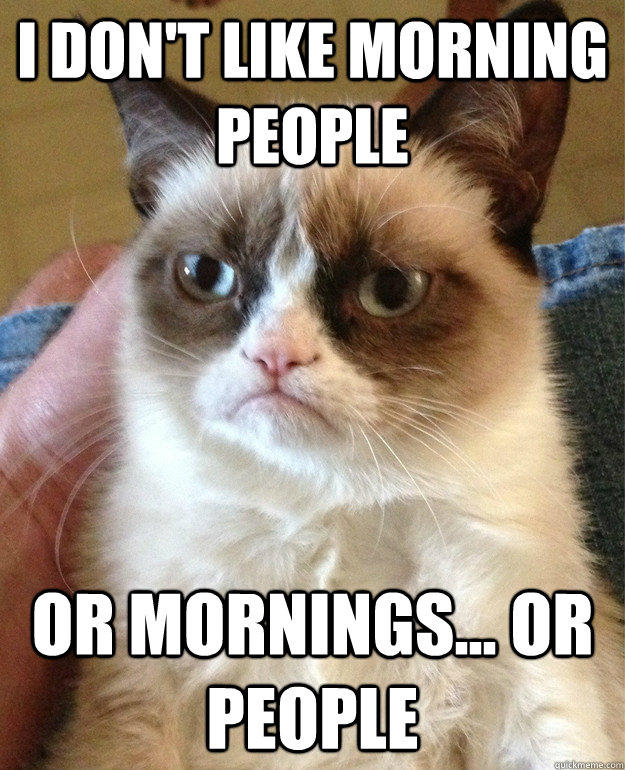 I don't like morning people Or mornings... or People - I don't like morning people Or mornings... or People  Grumpy Cat