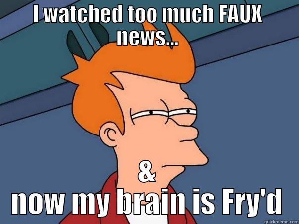 I WATCHED TOO MUCH FAUX NEWS... & NOW MY BRAIN IS FRY'D Futurama Fry