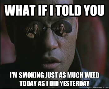 What if I told you i'm smoking just as much weed today as i did yesterday  Morpheus SC