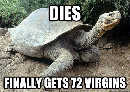 Dies Finally Gets 72 Virgins   