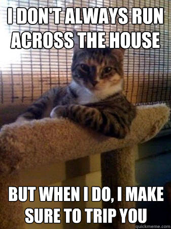 I don't always Run across the house but when I do, I make sure to trip you  The Most Interesting Cat in the World