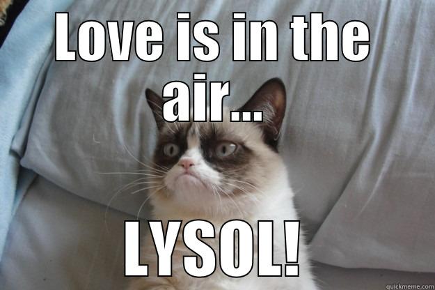 LOVE IS IN THE AIR... LYSOL! Grumpy Cat