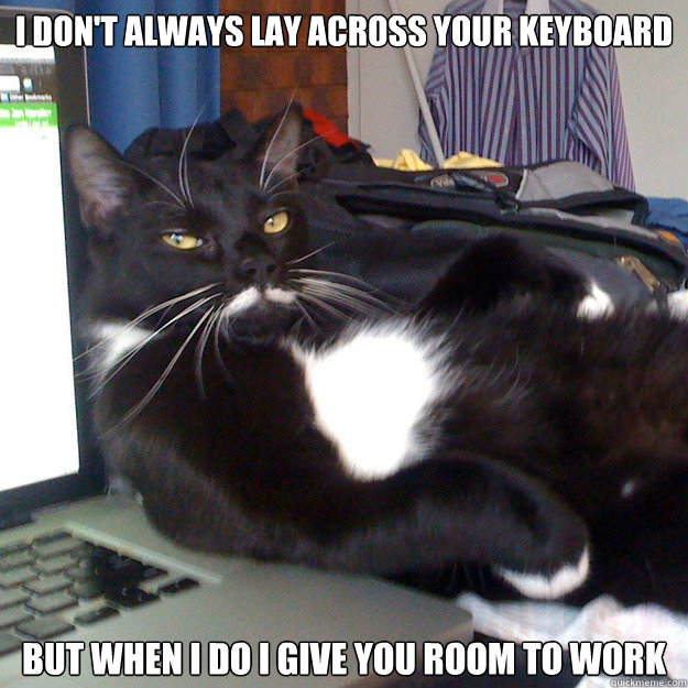 I don't always lay across your keyboard but when I do I give you room to work  